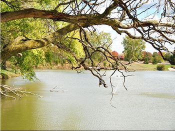 Lake with fishing