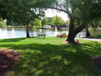 Park-like setting