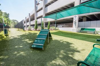 Pet spa and park