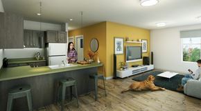 Burlington apartment for rent - Kitchen & Living