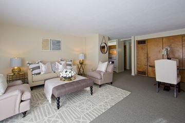 Colchester apartment for rent - a living room with couches and chairs and a rug