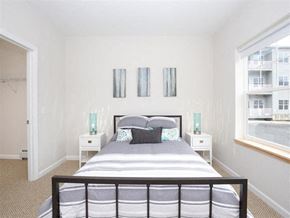South Burlington apartment for rent - a bedroom with a bed and two windows