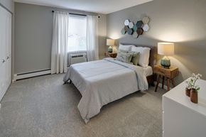 Carol Stream apartment for rent - primary bedroom with carpeting and furnishings