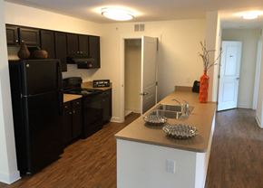 North East apartment for rent - a kitchen with a sink and a refrigerator