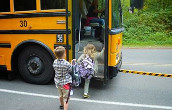 Williamsville/clarence school districts*