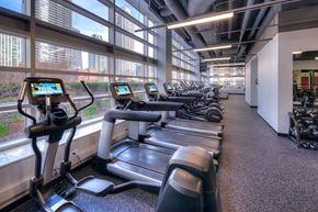 Chicago apartment for rent - Looking down a row of fitness machines in the fitness center. They run along the left and all face large windows.