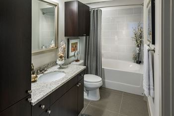 Spa-inspired bathrooms with large soaking tub