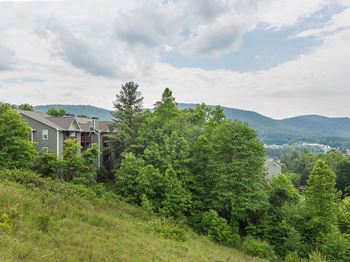 Stunning mountain or wooded views*