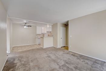 Ceiling fan