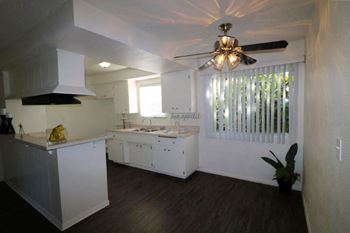 Ceiling fan