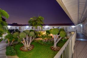 Santa Ana apartment for rent - Garden with trees and palm trees at night