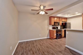 Ceiling fan