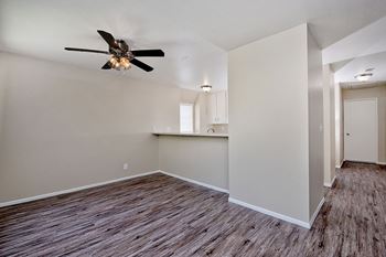 Ceiling fan in living room
