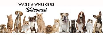 Pet friendly