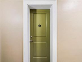 Cranford apartment for rent - A green door with a black handle in a room.