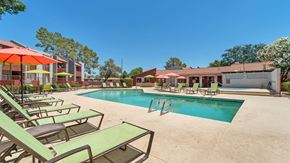 Glendale apartment for rent - our apartments have a resort style pool with chairs and umbrellas at Spring Meadow Apartments, Arizona