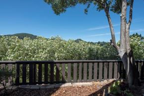San Anselmo apartment for rent - Parkside Apartments balcony and trees