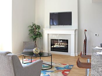 Fireplace in the living rooms