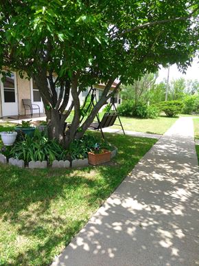 Ft. Worth apartment for rent - a tree in the front yard of a house