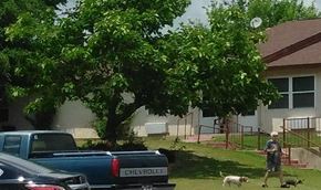 Ft. Worth apartment for rent - a man walking two dogs in front of a house