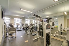 Brentwood apartment for rent - A gym with a variety of equipment including treadmills, weights, and exercise machines.