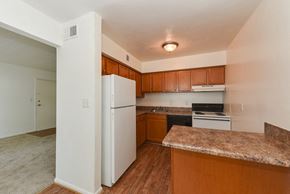 Norfolk apartment for rent - a kitchen with a refrigerator and a counter top