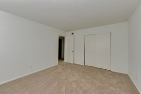 Norfolk apartment for rent - a bedroom with white walls and carpet and a door to a closet