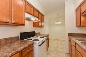Suffolk apartment for rent - a kitchen with a stove and a sink