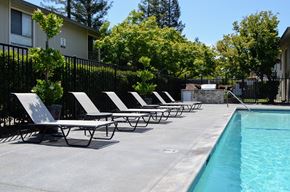 Napa apartment for rent - Poolside Lounge Chairs | Bella Vista Napa Apartments in Napa, CA