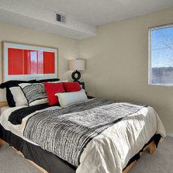 Littleton apartment for rent - a bedroom with a bed and two windows
