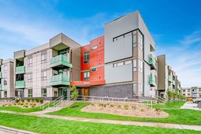 Verona apartment for rent - a modern apartment building with green grass and a sidewalk