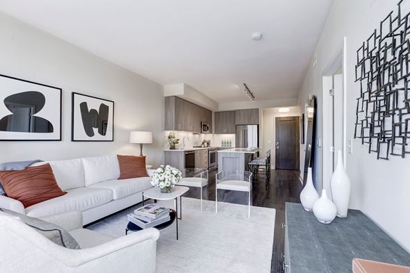 Bethesda apartment for rent - Well Lit Living Room at The Brody, Bethesda, 20814
