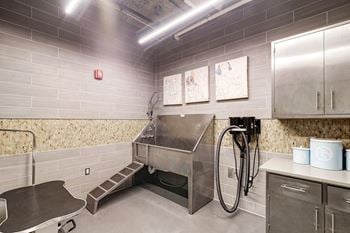 Pet spa & grooming station