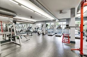 Alexandria apartment for rent - State-of-the-art fitness center with cardio equipment and strength training machines.