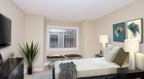 Charlotte apartment for rent - a bedroom with a bed and a tv and a window