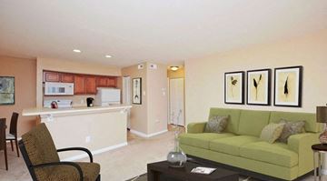Charlotte apartment for rent - a living room and kitchen with a green couch