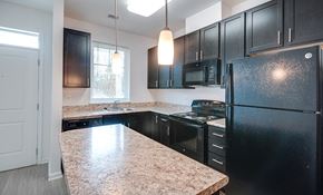 Windsor Mill townhouse for rent - Close up of kitchen