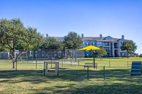 Allen apartment for rent - outdoor dog park