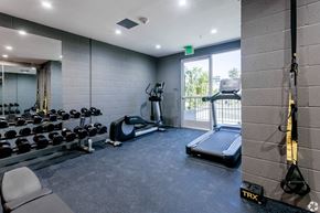 Los Angeles apartment for rent - Fitness Center at 1039 S. Hobart Blvd. Koreatown/Los Angeles, CA, California