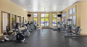 Roanoke apartment for rent - A gym with treadmills, exercise bikes, and weights.