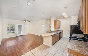 Austin apartment for rent - an open kitchen and living room with a hardwood floor and a large window