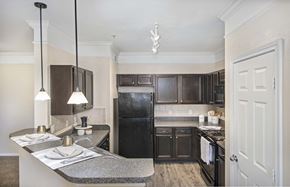 Carrollton apartment for rent - a kitchen with black appliances and granite counter tops