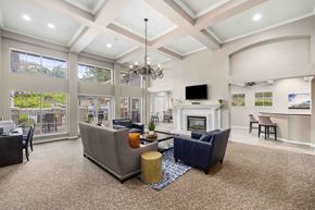 Irving apartment for rent - A living room with a fireplace and a television.