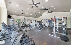 Cedar Park apartment for rent - a gym with cardio equipment and ceiling fans