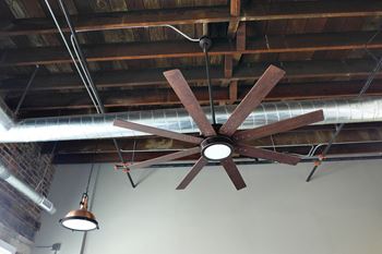 Ceiling fan