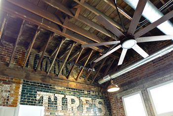 Ceiling fan
