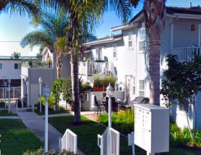 Laguna Beach triplex for rent - a row of white apartments with palm trees and a sidewalk