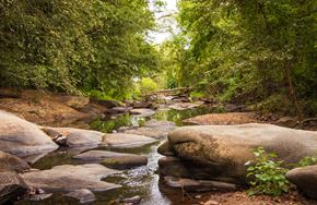 Mount Hope apartment for rent - A stream flows through a forest with large rocks in the foreground.
