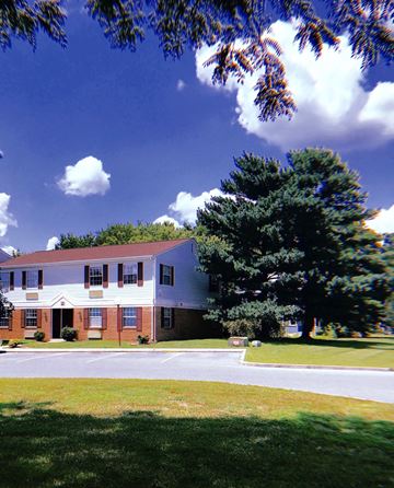 Princess Anne apartment for rent - a large white building with a tree in front of it
