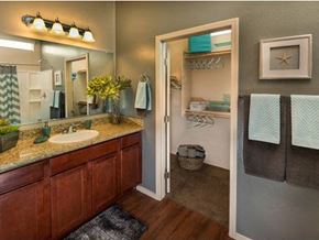 Chandler apartment for rent - a bathroom with a sink and a mirror